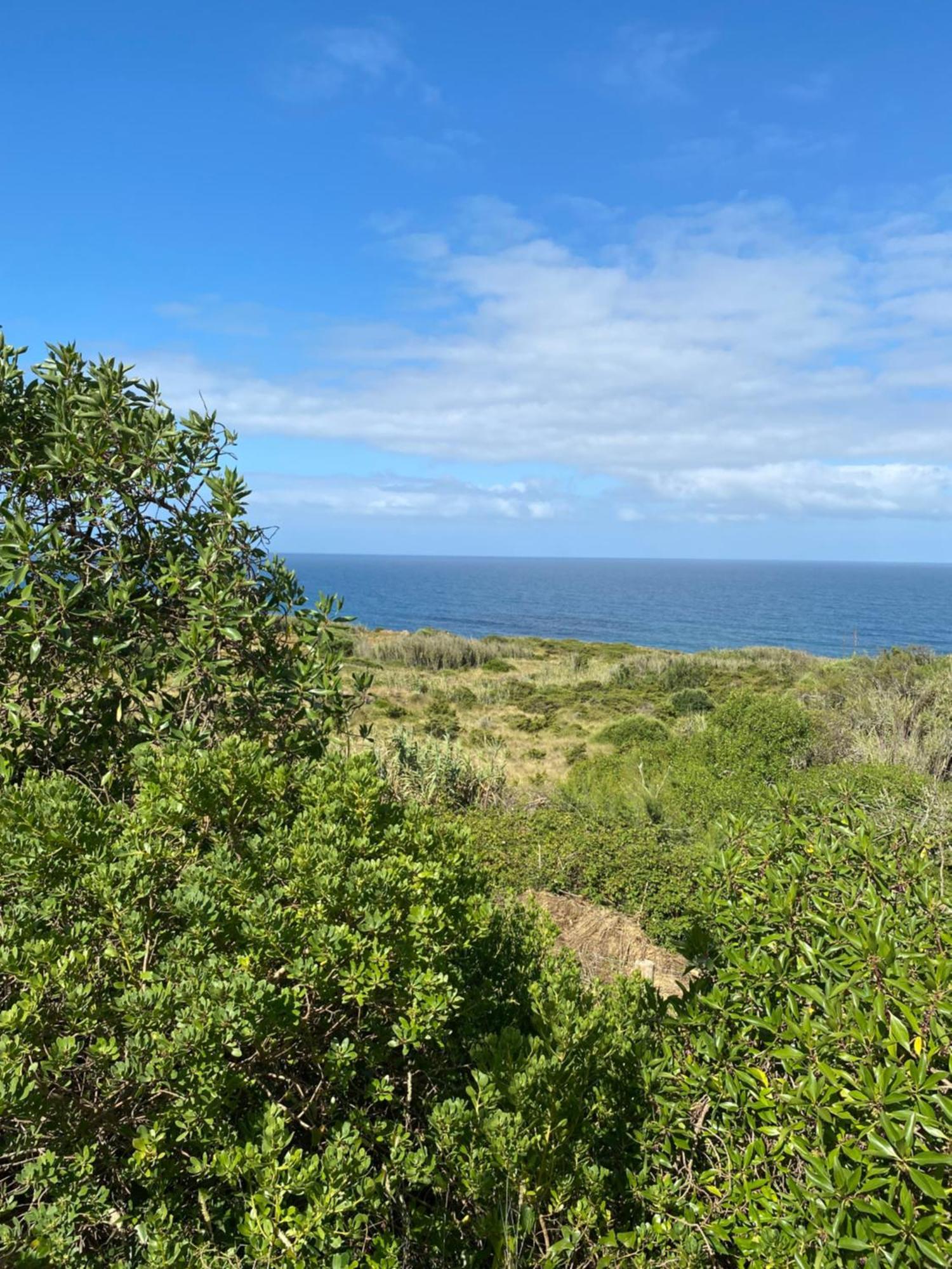 Casa Praia Do Sul 埃里塞拉 外观 照片